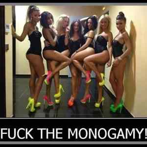 Obrázek '-&nbsp;Fuck&nbsp;the&nbsp;-&nbsp;&nbsp;&nbsp;&nbsp;&nbsp;&nbsp;07.02.2013'