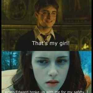 Obrázek '- Harry Potter or Twilight -      20.07.2013'