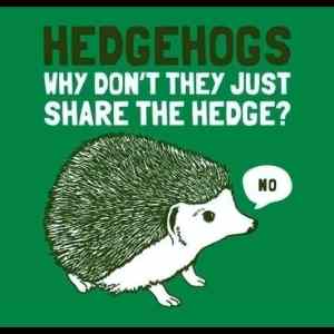 Obrázek '- Hedgehogs -      20.02.2013'