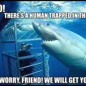 Obrázek '- Helpful Shark -      30.01.2013'