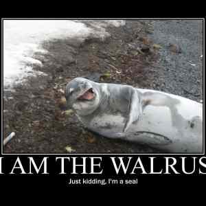 Obrázek '- I am Walrus -      25.03.2013'