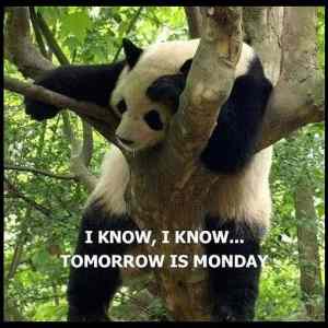 Obrázek '- I know tomorrow is monday -      30.06.2013'