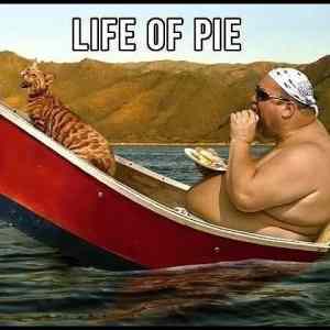 Obrázek '- Life of pie -      15.01.2013'