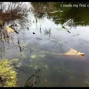 Obrázek '- Made My First Canoe -      19.06.2013'