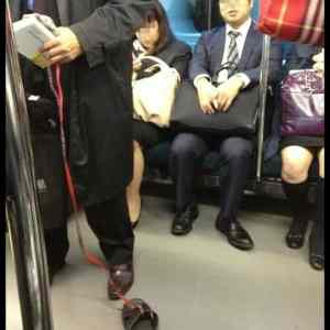 Obrázek '- Meanwhile in Asia -      24.07.2013'