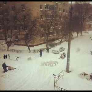 Obrázek '-&nbsp;Meanwhile&nbsp;in&nbsp;PS&nbsp;-&nbsp;&nbsp;&nbsp;&nbsp;&nbsp;&nbsp;26.03.2013'