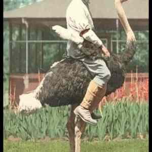 Obrázek '- Meanwhile in Pasadena -      12.03.2013'