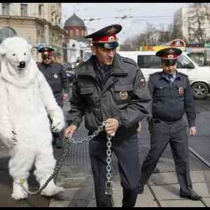 Obrázek '- Meanwhile in Russia 01 -      27.04.2013'