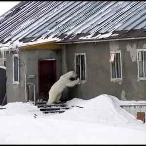 Obrázek '-&nbsp;Meanwhile&nbsp;in&nbsp;somewhere&nbsp;-&nbsp;&nbsp;&nbsp;&nbsp;&nbsp;&nbsp;27.12.2012'