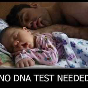 Obrázek '- No DNA test -      21.02.2013'
