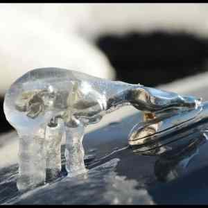 Obrázek '- Oh Ice -      26.03.2013'