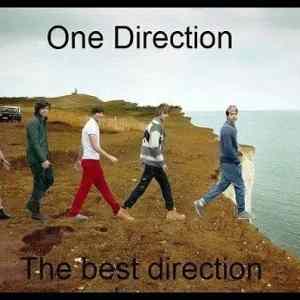 Obrázek '- One direction -      17.05.2013'