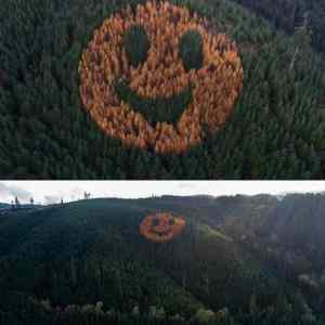 Obrázek '-&nbsp;Oregon&nbsp;smiley&nbsp;-'