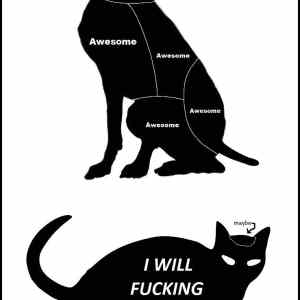 Obrázek '- Petting chart -      20.01.2013'