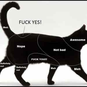 Obrázek '- Petting chart for cats -      19.01.2013'