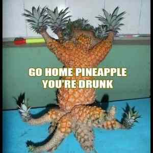 Obrázek '- Pineapple -      11.06.2013'