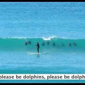 Obrázek '- Please be dolphins -      14.03.2013'