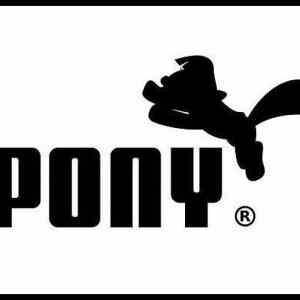 Obrázek '- Pony -      19.02.2013'