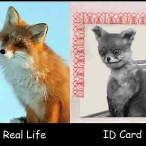 Obrázek '- Real-ID -      21.12.2012'