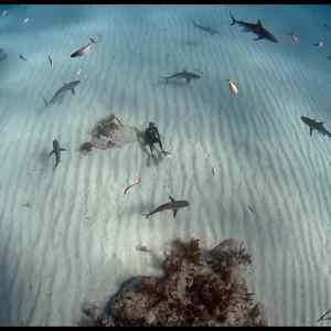 Obrázek '-&nbsp;Relax&nbsp;-&nbsp;&nbsp;&nbsp;&nbsp;&nbsp;&nbsp;13.03.2013'