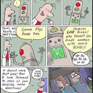 Obrázek '- Robot -      02.02.2013'