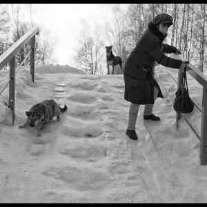 Obrázek '- Slide -      19.02.2013'