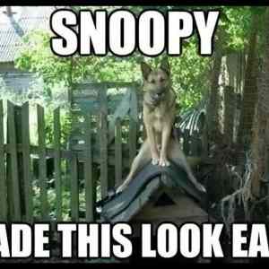 Obrázek '- Snoopy -      07.07.2013'