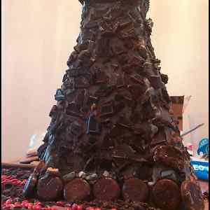 Obrázek '- Taking gingerbread houses up a level -      23.12.2012'