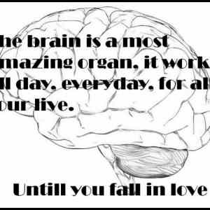 Obrázek '- The Brain -      22.12.2012'