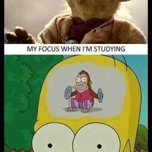 Obrázek '- This is how I feel while studying for two exams -      13.02.2013'