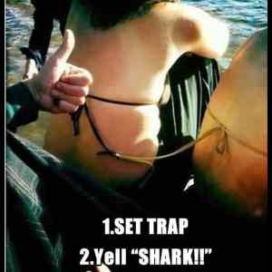 Obrázek '- Trap -      13.03.2013'