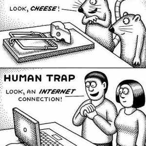 Obrázek '-&nbsp;Trap&nbsp;-&nbsp;&nbsp;&nbsp;&nbsp;&nbsp;&nbsp;17.02.2013'