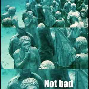 Obrázek '- Underwater Sculptures -      07.01.2013'