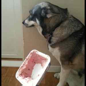 Obrázek '-&nbsp;Well&nbsp;-&nbsp;I&nbsp;guess&nbsp;-&nbsp;&nbsp;&nbsp;&nbsp;&nbsp;&nbsp;07.05.2013'