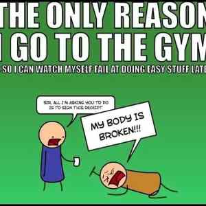 Obrázek '- Why I go to the gym -      13.01.2013'