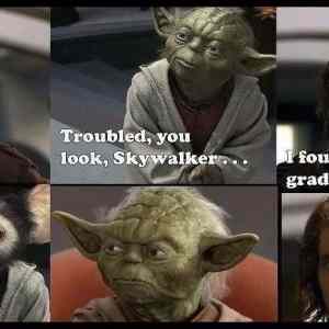 Obrázek '- Young Yoda -      20.03.2013'