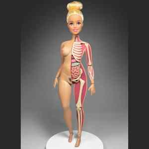 Obrázek '- anatomicka Barbie -'