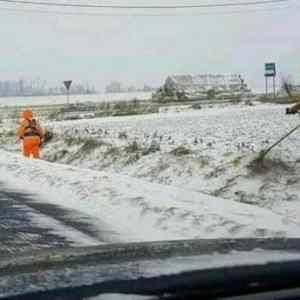 Obrázek '- grasskillers -'