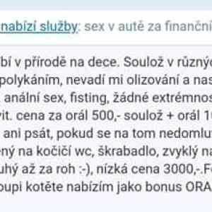 Obrázek '- jde o ten bonus -'