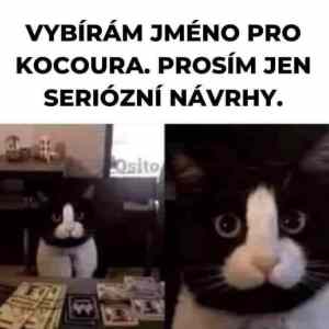 Obrázek '- jmeno pro cockoura -'