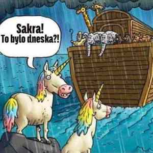 Obrázek '-&nbsp;termin&nbsp;-'