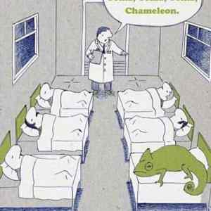 Obrázek '-chameleon-'