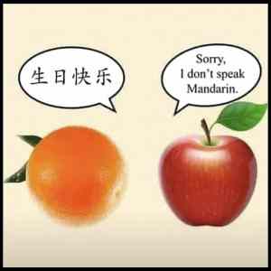 Obrázek '-mandarin-'
