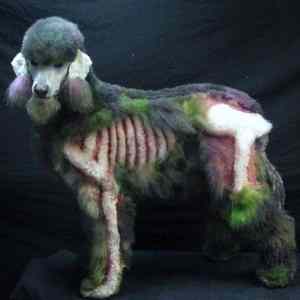 Obrázek '-zombie poodle-27102011-17.38.46'