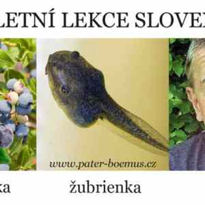 Obrázek '09-03-Lekce-slovenstiny'