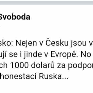 Obrázek '1000dolaru bere dezolat za podporu ruska'
