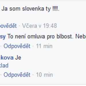 Obrázek '10322753 1050175131729909 6707733028952231310 n'