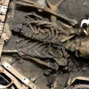 Obrázek '12-meter-skeleton-of-a-man-002'