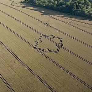 Obrázek '14th of July at Normanton Down Barrows near Stonehenge Wiltshire UK'