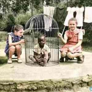 Obrázek '1958.Lidkes Zoo vBelgiii prosim nepoucujte cechy o lidskych pravech'